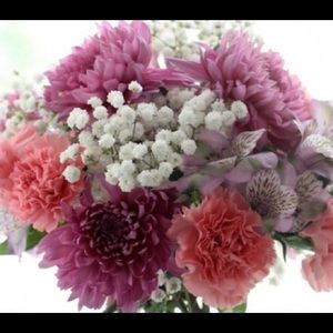 Meet your Posher, Ingrid